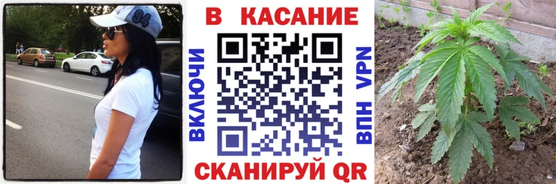Все наркотики Староминская Марихуана  Меф  СК  Гашиш 